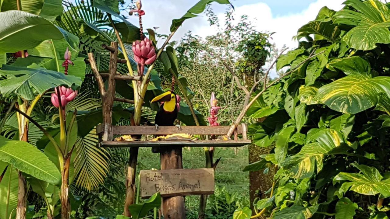 Hotel Brisas Arenal La Fortuna Εξωτερικό φωτογραφία