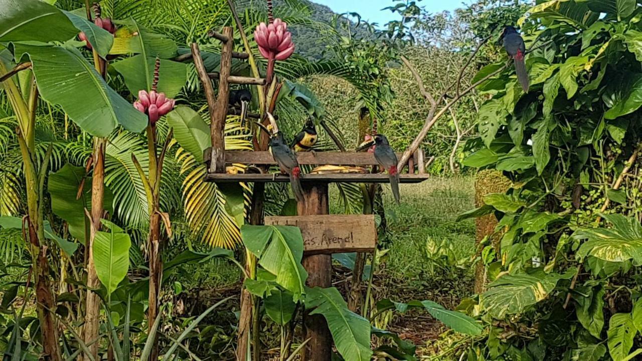 Hotel Brisas Arenal La Fortuna Εξωτερικό φωτογραφία